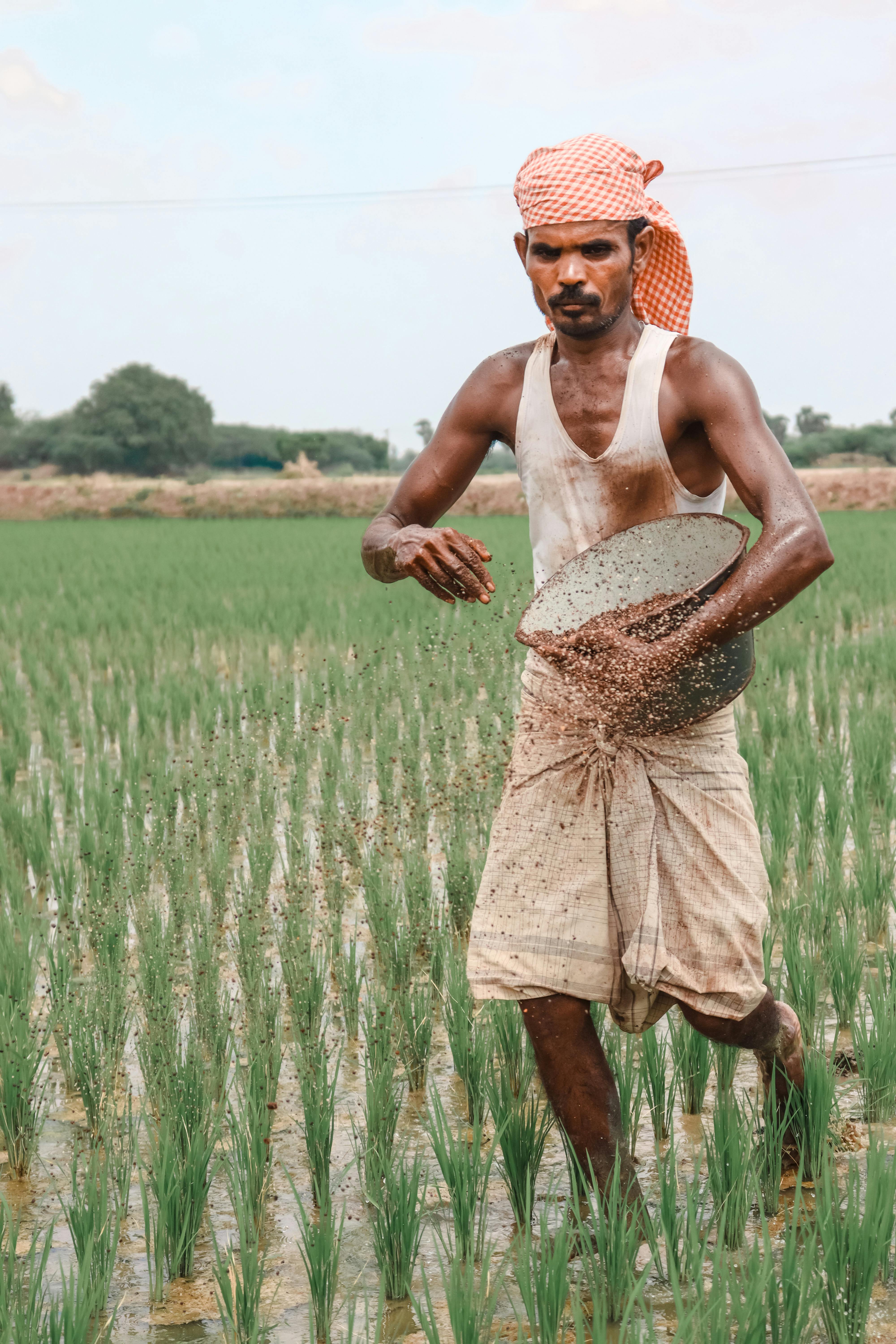 Quality Seeds at Ankuranseeds